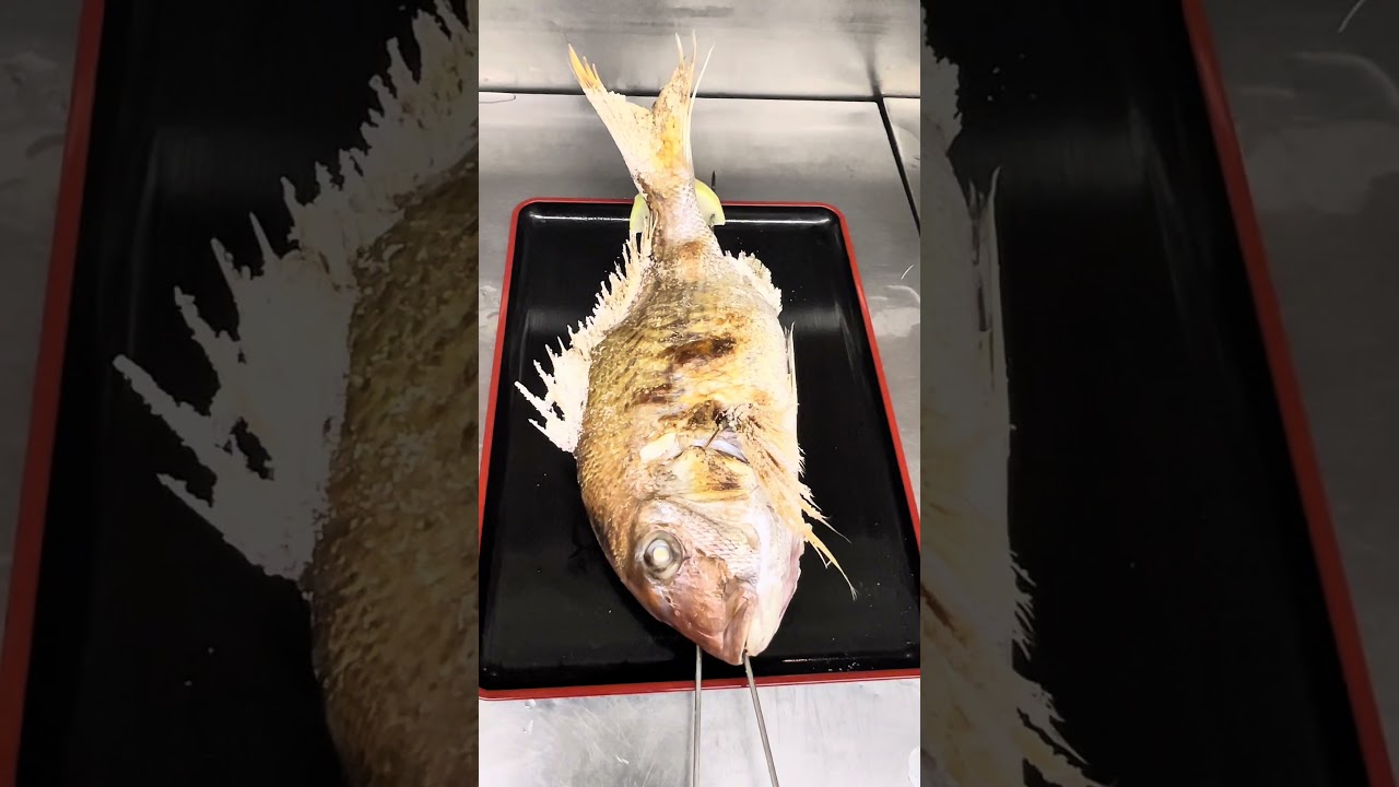 お食い初め　祝い鯛