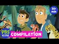 Wild Kratts | The Best Wild Cat Adventures from the Wild Kratts Compilation 🐅 | PBS KIDS