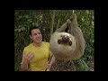 The Jeff Corwin Experience Panama The Land That Time Forgot