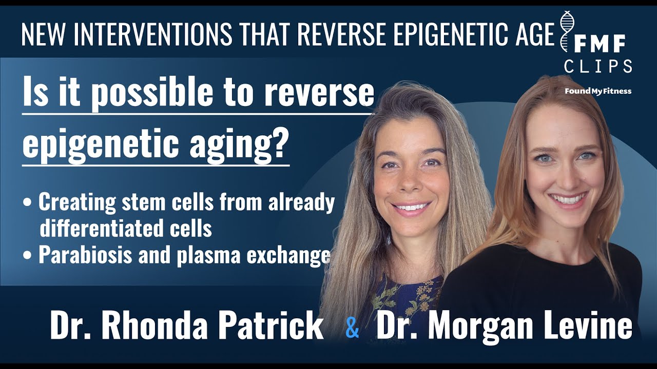 Two new interventions that can reverse epigenetic age | Dr. Morgan Levine