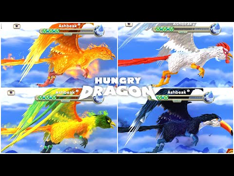 ASHBEAK DRAGON UNLOCKED and ALL SKINS  GAMEPLAY. Pyropoyo, Junglebeak, Toucandoit | Hungry Dragon