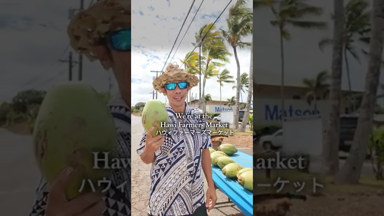 fresh coconuts 🌴🥥 #hawaii  #ハワイ