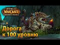 Дорога к 100 уровню 