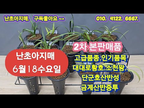 유튜브 썸네일
