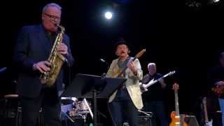 Steve Watson - Mary Anna - Live At the Fine Arts Center Greenville SC 1/31/15