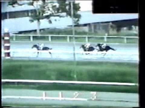 MISTER FRISKY - Clásico Juan Orlando Herrero 1989