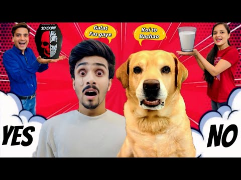 Funniest YES OR NO Challenge With Leo | Deadly Jolochip kon khaega? | Anant Rastogi