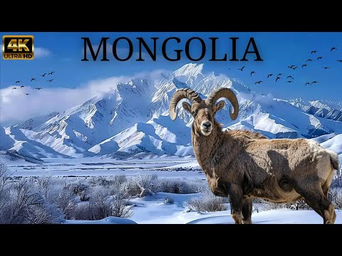 WILD MONGOLIA, Beasts of Silence: INHABITANTS OF THE END OF THE WORLD and HIDDEN GEMS
