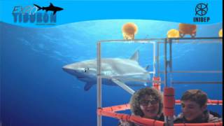 DIA 3 Expo Tiburon137