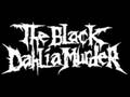 The Black Dahlia Murder - Closed Casket Requiem ...