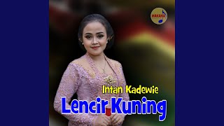 Download lagu Lencir Kuning mp3 Download lagu Lencir Kuning mp3