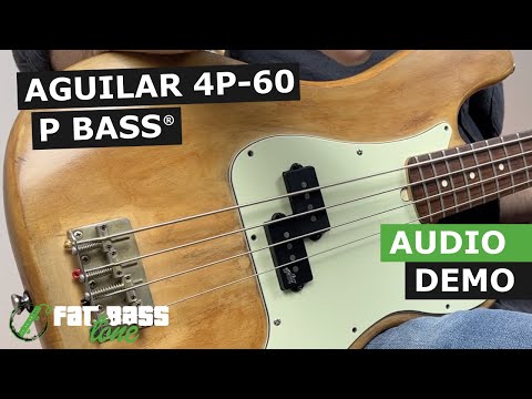 Aguilar 4P-60 Precision Bass® Pickup Set Demo