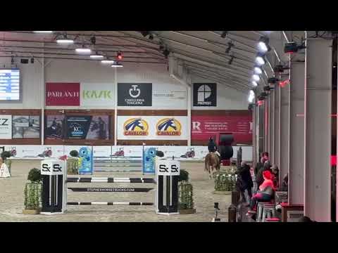 Danira DH
