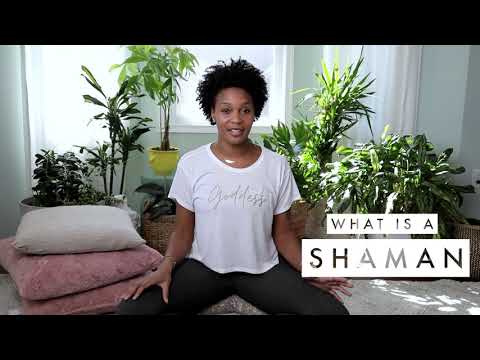 Seaside Shaman   What is a shaman