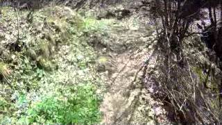 MTB STEZZANO - MONTE FARNO - MONTAGNINA - CAI 542