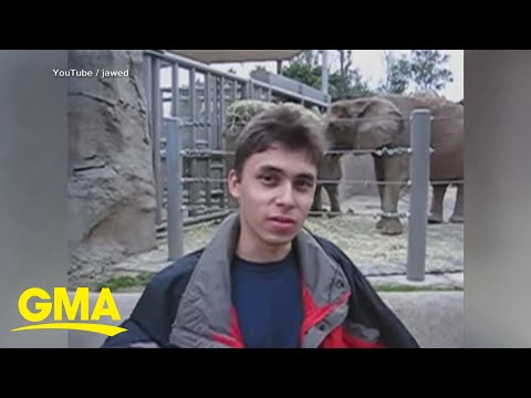 YouTube turns 20 years old