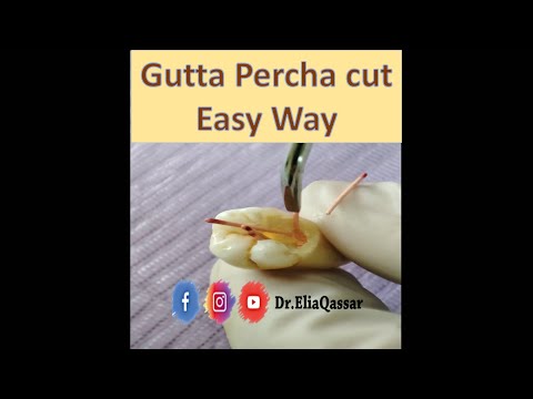 Easy way to cut gutta percha