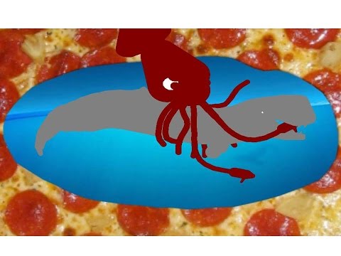 790 Productions: Colossal Squid vs Livyatan