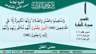 معنى الظن للشيخ الشنقيطي - مشروع كبار العلماء image