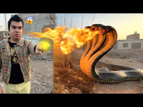 Big Snake Ny Waleed Pr Attack Kr Dea 😱 Fight Ho Gai 
