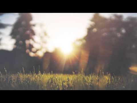 download lagu mp3 mp4 Flute Music Morning, download mp3 Flute Music Morning free download mp3, download mp3 Flute Music Morning