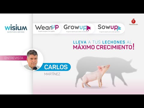 , title : 'Premezclas, la línea de Wisium para impulsar la porcicultura en cada etapa de producción'