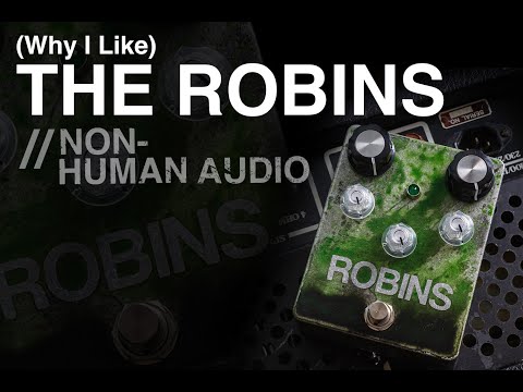 Non-Human Audio Robins | Reverb