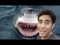 Top New Zach King Funny Magic Vines 2022 (Part 8)