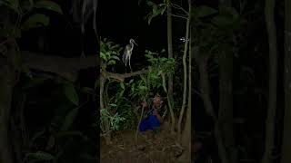 Download lagu menag kap balkok di hutan #hature #shortsviral mp3 Download lagu menag kap balkok di hutan #hature #shortsviral mp3