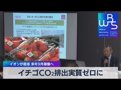 2023年のCO2残高は過去最高を更新