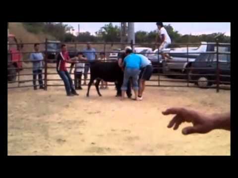 grande péga de caras