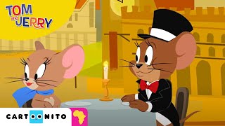 Tom and Jerry: Dinner Date Rival  Cartoonito Afric