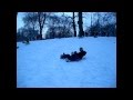 Snow Sledding