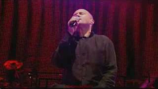 Phil Collins-Groovy Kind Of Love HD
