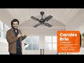 Candes Brio 858rpm Coffee Brown 4 Blade Anti Dust Ceiling Fan, Sweep: 600 mm
