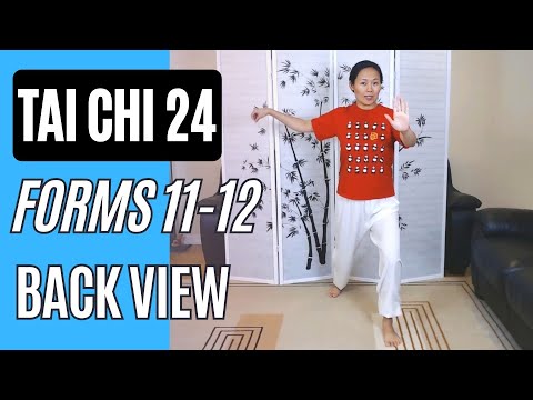 Tai Chi 24, Forms 11-12 Single Whip & High Pat on Horse Back View with Instructions