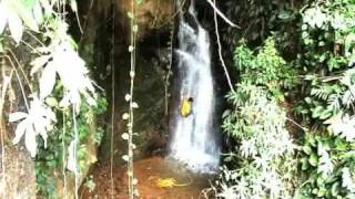 preview picture of video 'RAPPEL CANYONING TRUJILLO VALLE COLOMBIA'