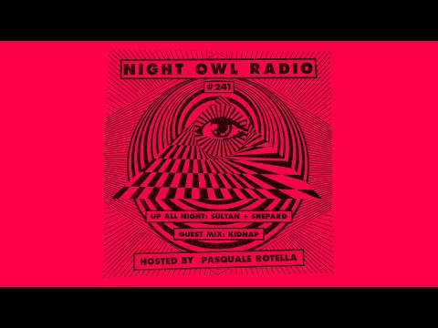 Sultan & Shepard, Kidnap - Night Owl Radio 241