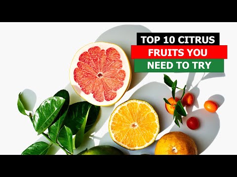 Citrus Delights: Indulge in the World's Top 10 Most Delicious Citrus Fruits!