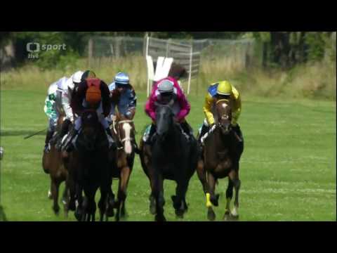 2017.07.23 Oaks Holdingu Rabbit CZ (Czech Oaks) - Polyanta