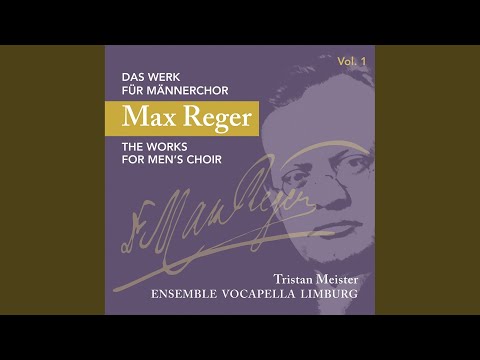 Geistliche Lieder No. 1-6 (Nach Joseph von Eichendorff) : No. 3 Resignation