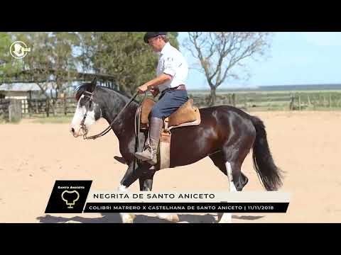 Negrita de Santo Aniceto