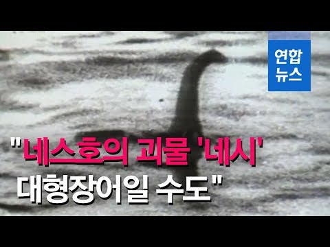 "네스호의 괴물 '네시' 정체는 대형장어일 수도" / 연합뉴스 (Yonhapnews)