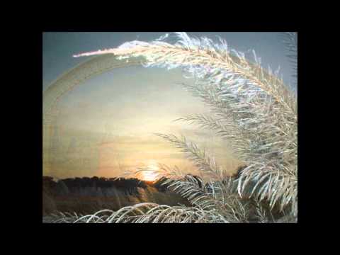 Saranagati - 02.02 - 1 - Dainya - vidyara vilase, katinu kala, param sahase ami tomara carana, na