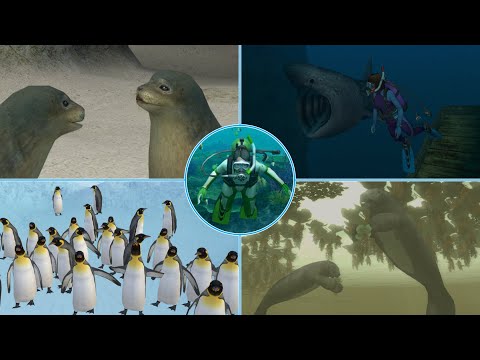 All animal scenes with Hayako | Endless Ocean 2