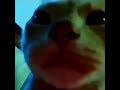 Caramelldansen Low Quality