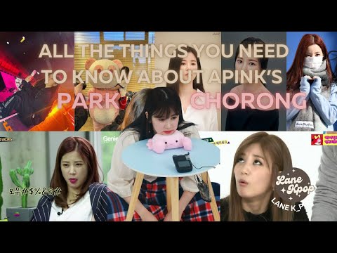 All the things you need to know about Apink's Park Chorong