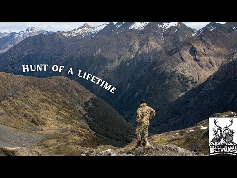 7 Day Epic Mountain Hunting Adventure (Our Most Action Packed Hunt!) Pigs, Deer & Chamois (10 inch?)