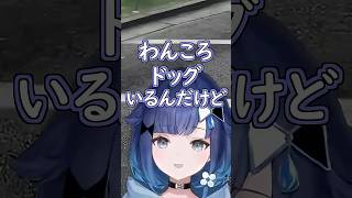 わんこの飼い主にけんかを売るつむおじｗ #ぶいすぽ #切り抜き #ぶいすぽっ #紡木こかげ #madtown