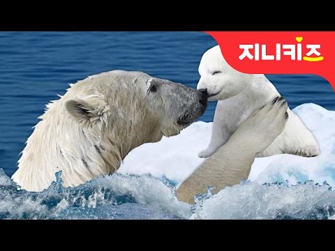 , title : '북극곰의 눈물 #1 | 북극의 얼음이 녹고 있어요 | 지구온난화 예방 실천방법 | 환경 동화★지니키즈'